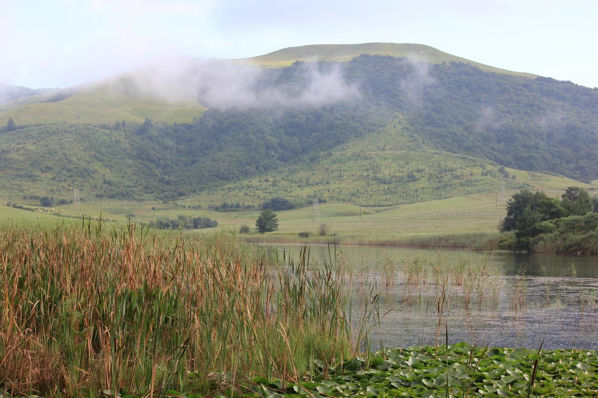 Beacon Vlei Guest Farm Otel Balgowan Dış mekan fotoğraf