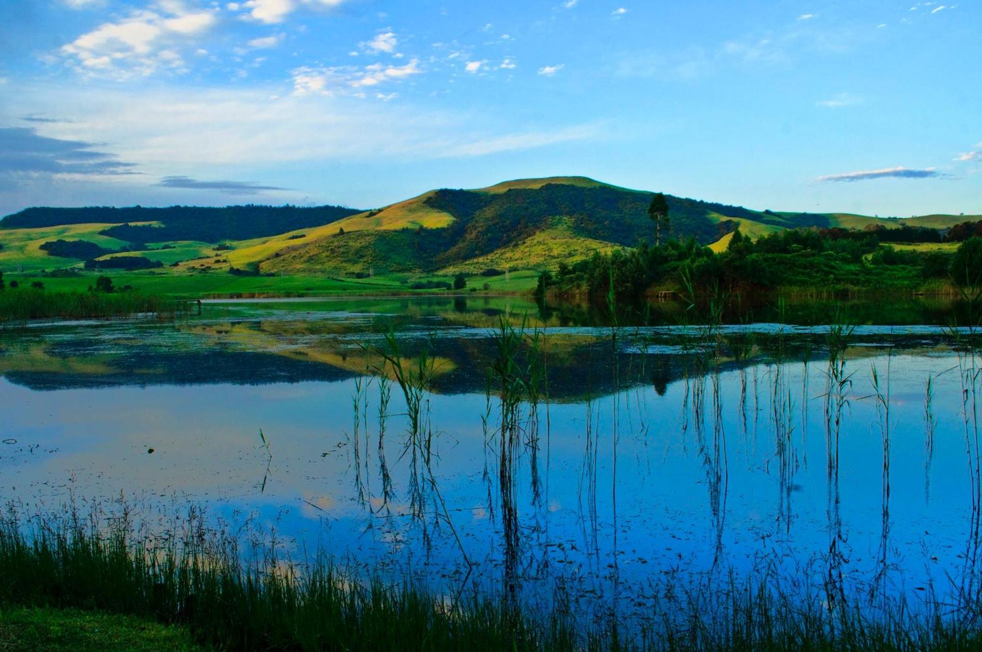 Beacon Vlei Guest Farm Otel Balgowan Dış mekan fotoğraf